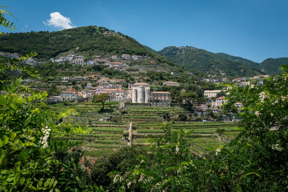 Day Trips to Vineyards on the Amalfi Coast: The Wine Nobody Tells You About