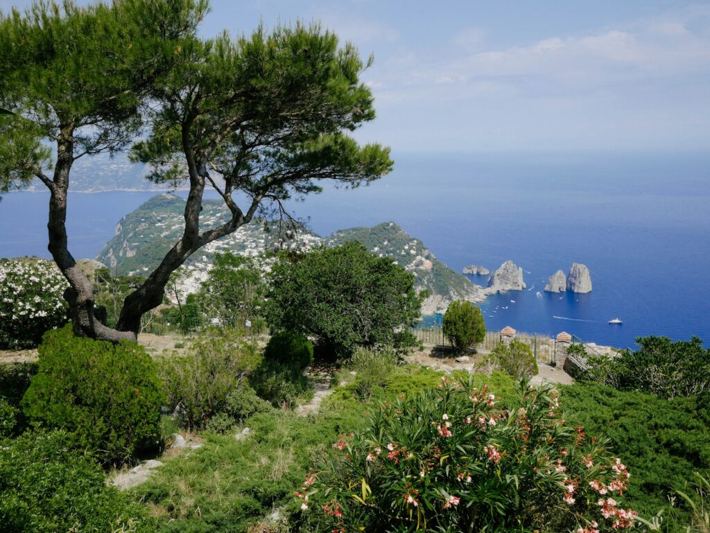 Scenic coastal landscape viewed from a hillside path while walking the Amalfi Coast.